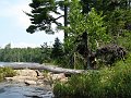 100705_1359