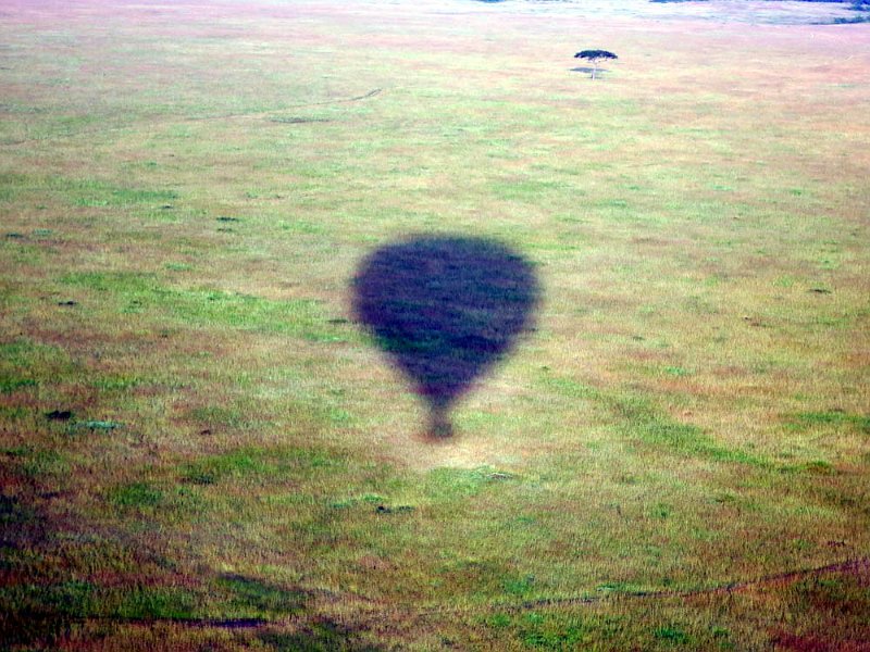 day07IMG_0679.jpg - The sun has risen to reveal our shadow.  Masai Mara, Kenya