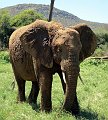 day02IMG_0113