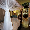 day02IMG_0164