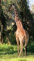 day02IMG_0220