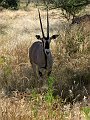 day02IMG_2146