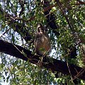 day03IMG_2204