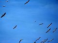 day04IMG_2412