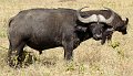day05IMG_0431