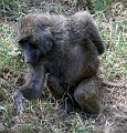 day05IMG_0458