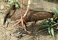 day05IMG_0468