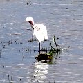 day05IMG_0521