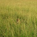 day06IMG_0569