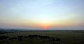day06IMG_0644