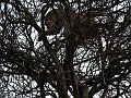 day06IMG_2498