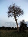 day06IMG_2502