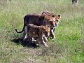 day06IMG_2550