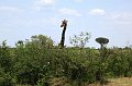 day07IMG_0761