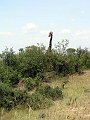 day07IMG_2589