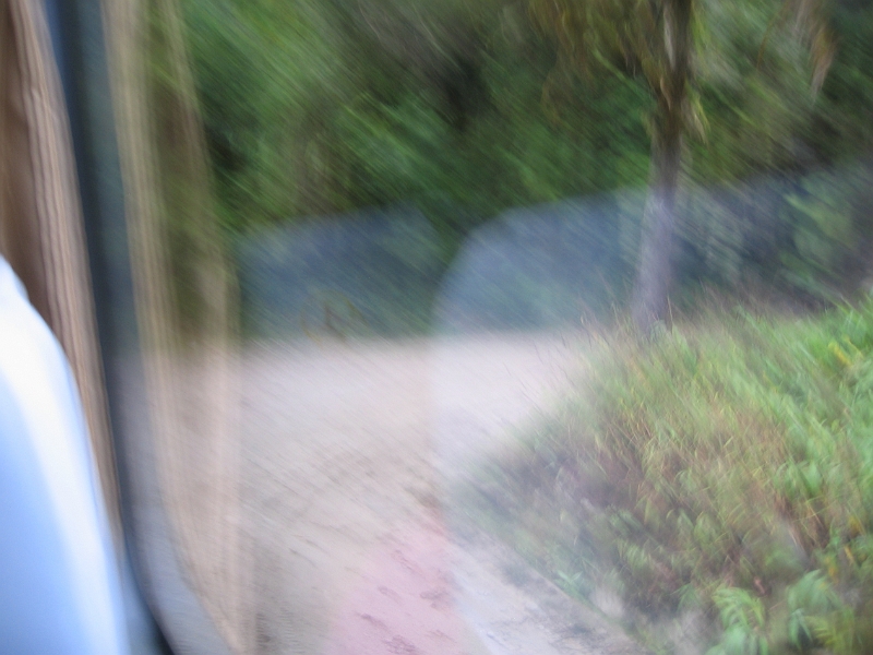0806110004.JPG - Day 5, Wednesday, June 11, bus up to Machu Picchu (very steep, very bumpy!)