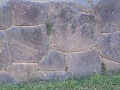 0806090068