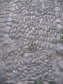 0806100008