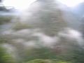 0806110005