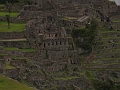 0806110010