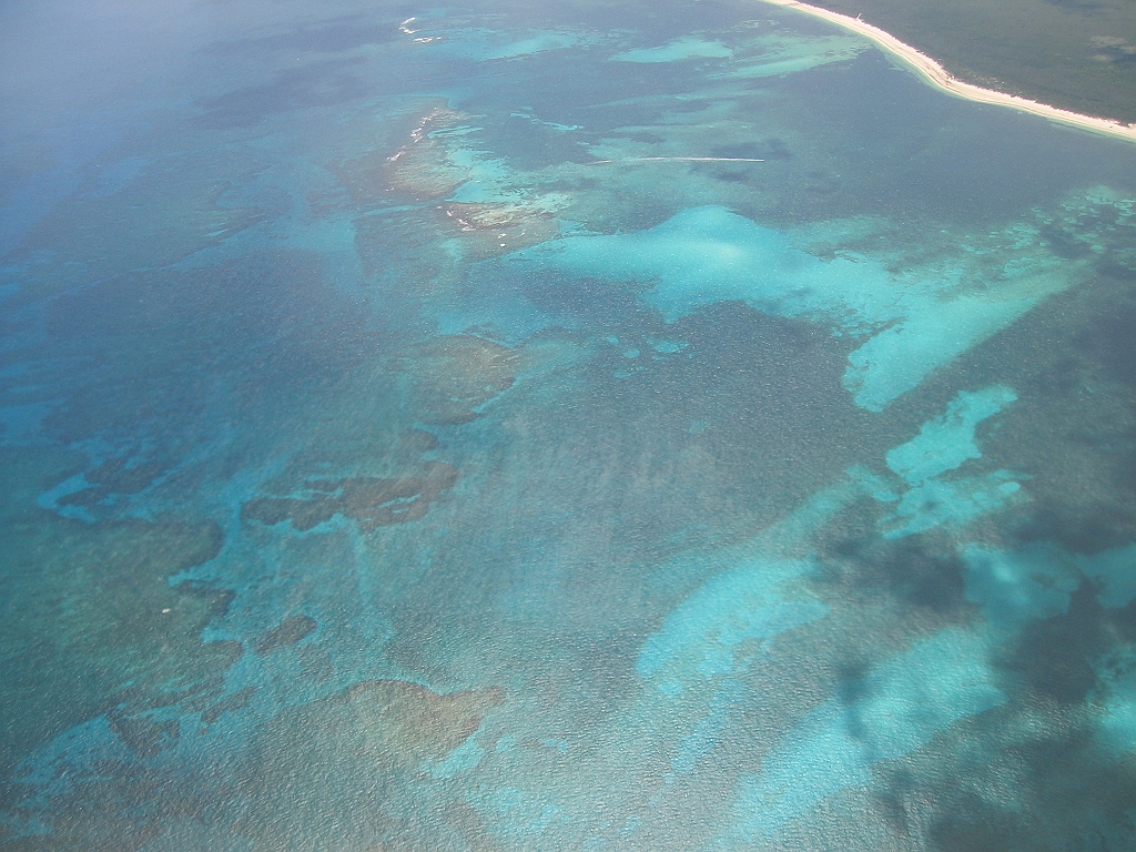 0703180010.JPG